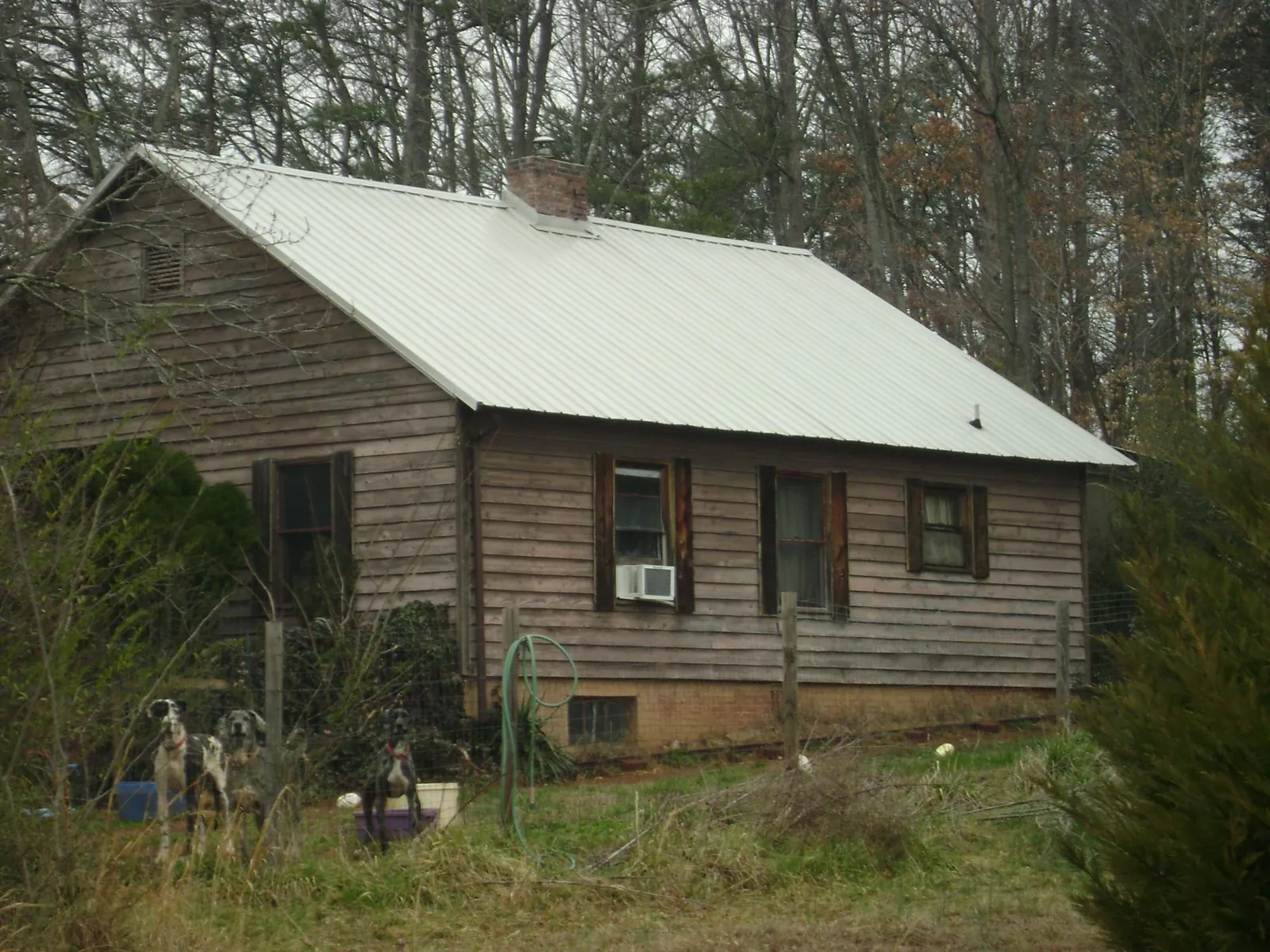White metal roof on an old wood sided farmhouse, from a Asphalt Shingle Roof Repair job in East Freedom